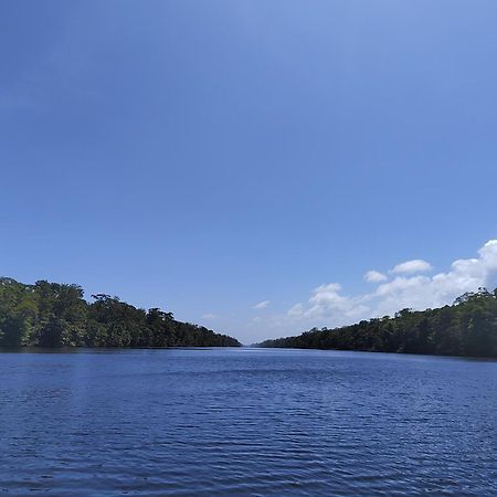 Hospedaje Meryscar Tortuguero Zewnętrze zdjęcie