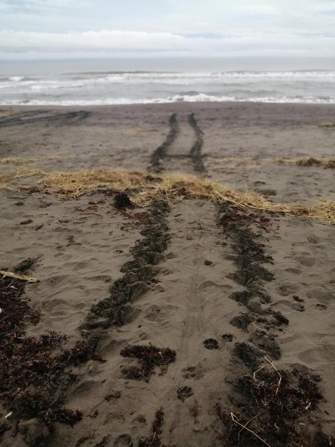 Hospedaje Meryscar Tortuguero Zewnętrze zdjęcie