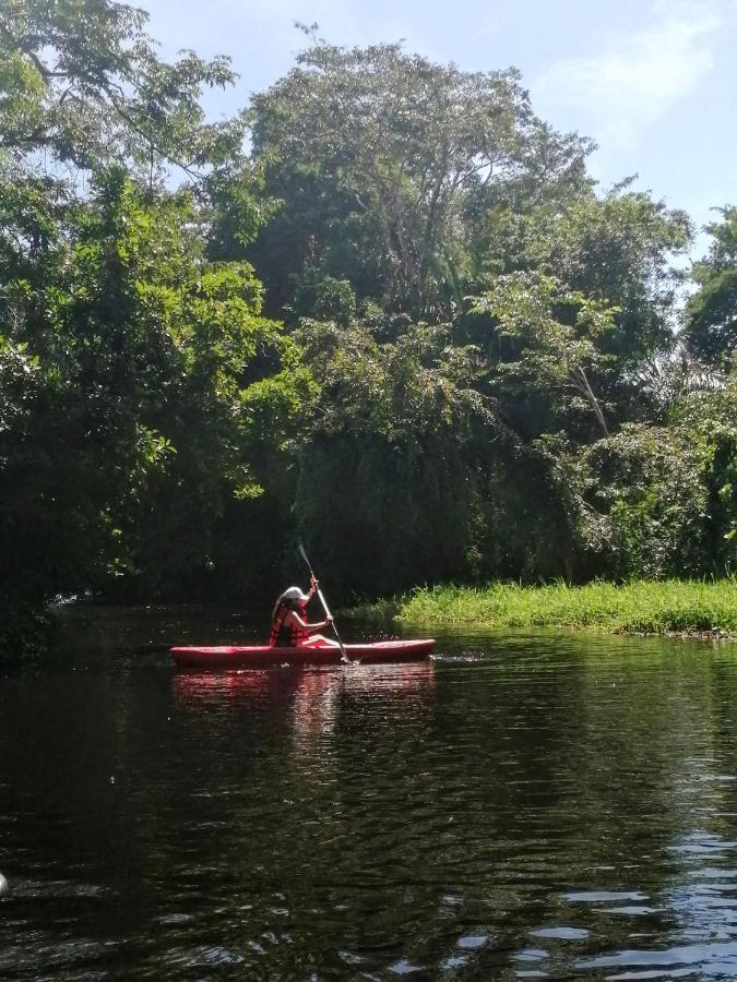Hospedaje Meryscar Tortuguero Zewnętrze zdjęcie
