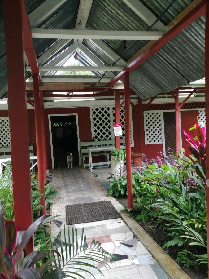 Hospedaje Meryscar Tortuguero Zewnętrze zdjęcie