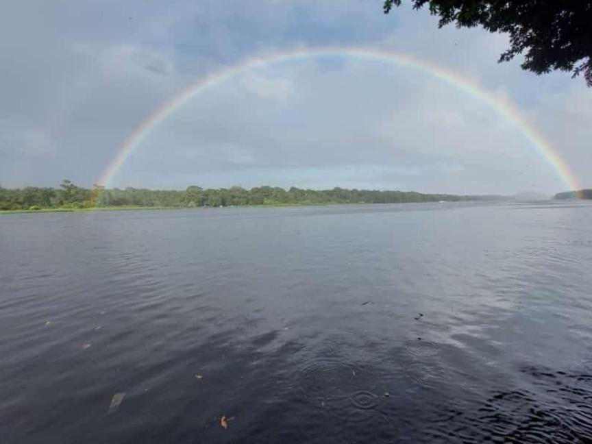 Hospedaje Meryscar Tortuguero Zewnętrze zdjęcie