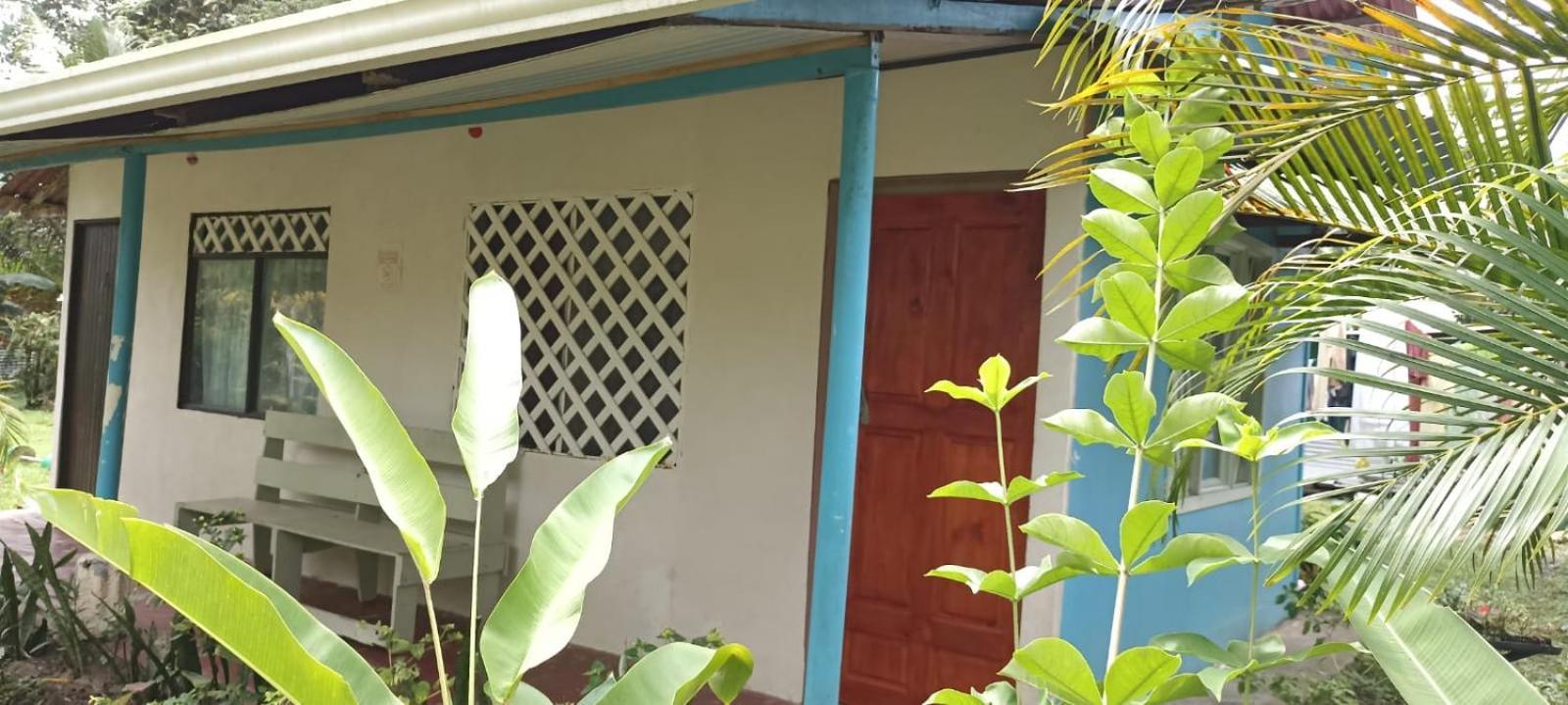 Hospedaje Meryscar Tortuguero Zewnętrze zdjęcie