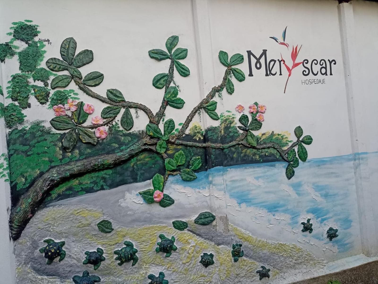 Hospedaje Meryscar Tortuguero Zewnętrze zdjęcie