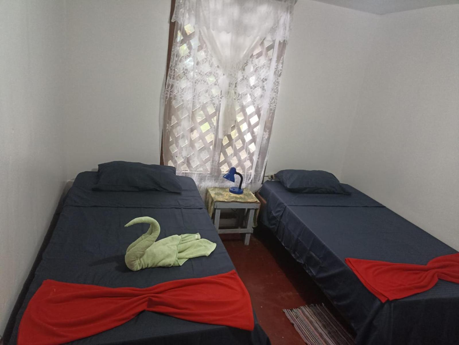 Hospedaje Meryscar Tortuguero Zewnętrze zdjęcie