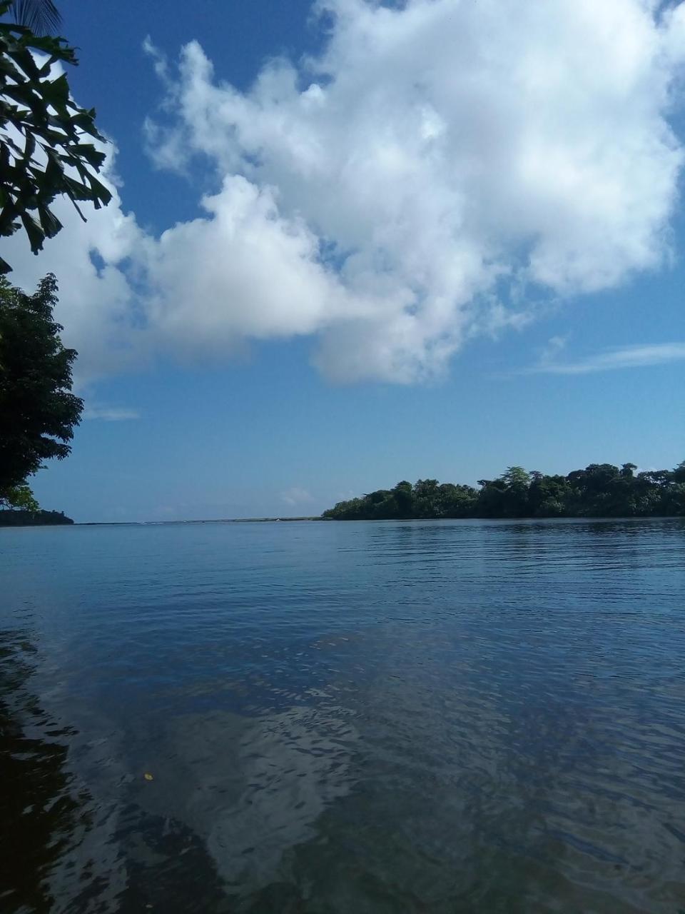 Hospedaje Meryscar Tortuguero Zewnętrze zdjęcie