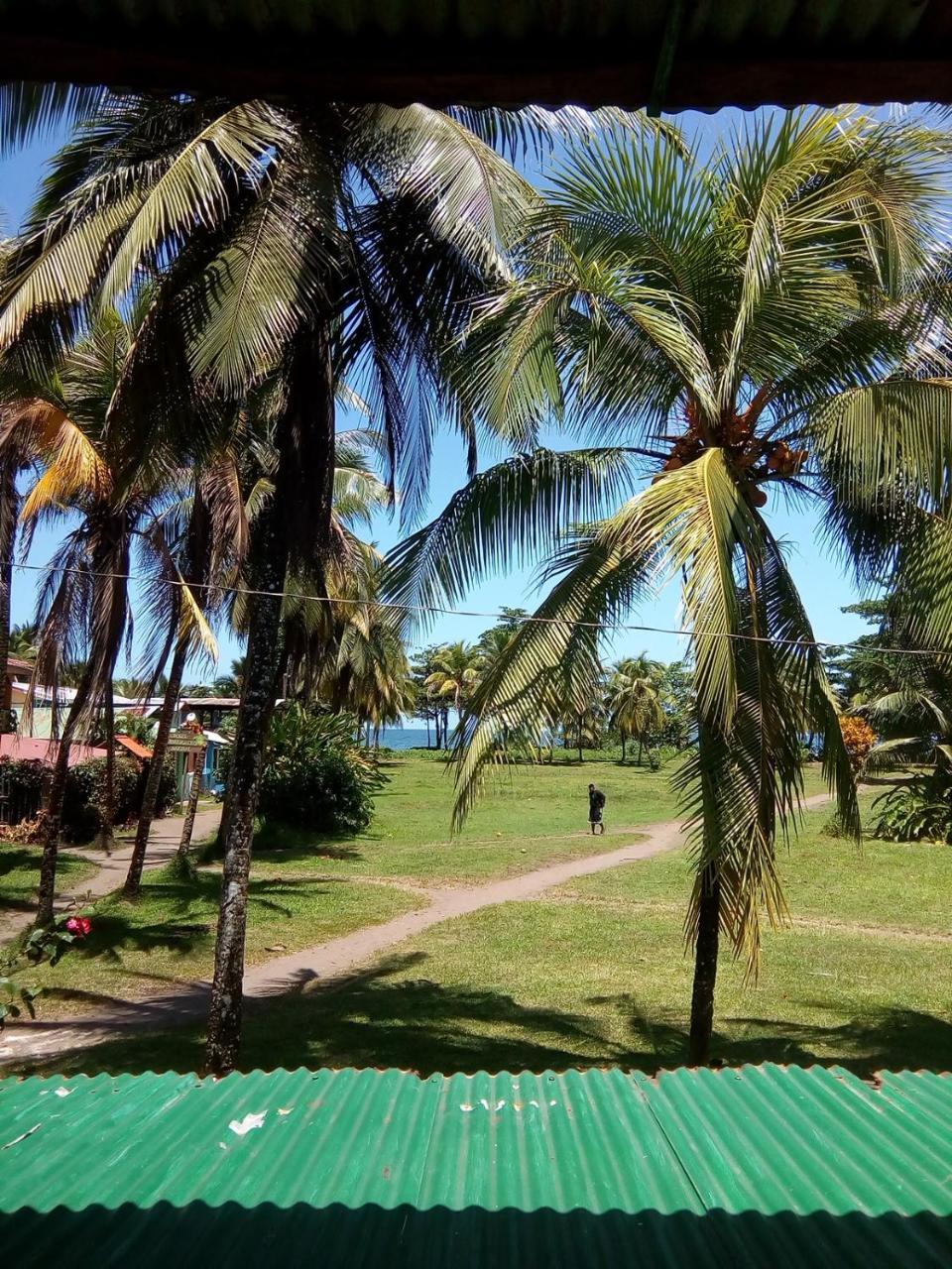 Hospedaje Meryscar Tortuguero Zewnętrze zdjęcie