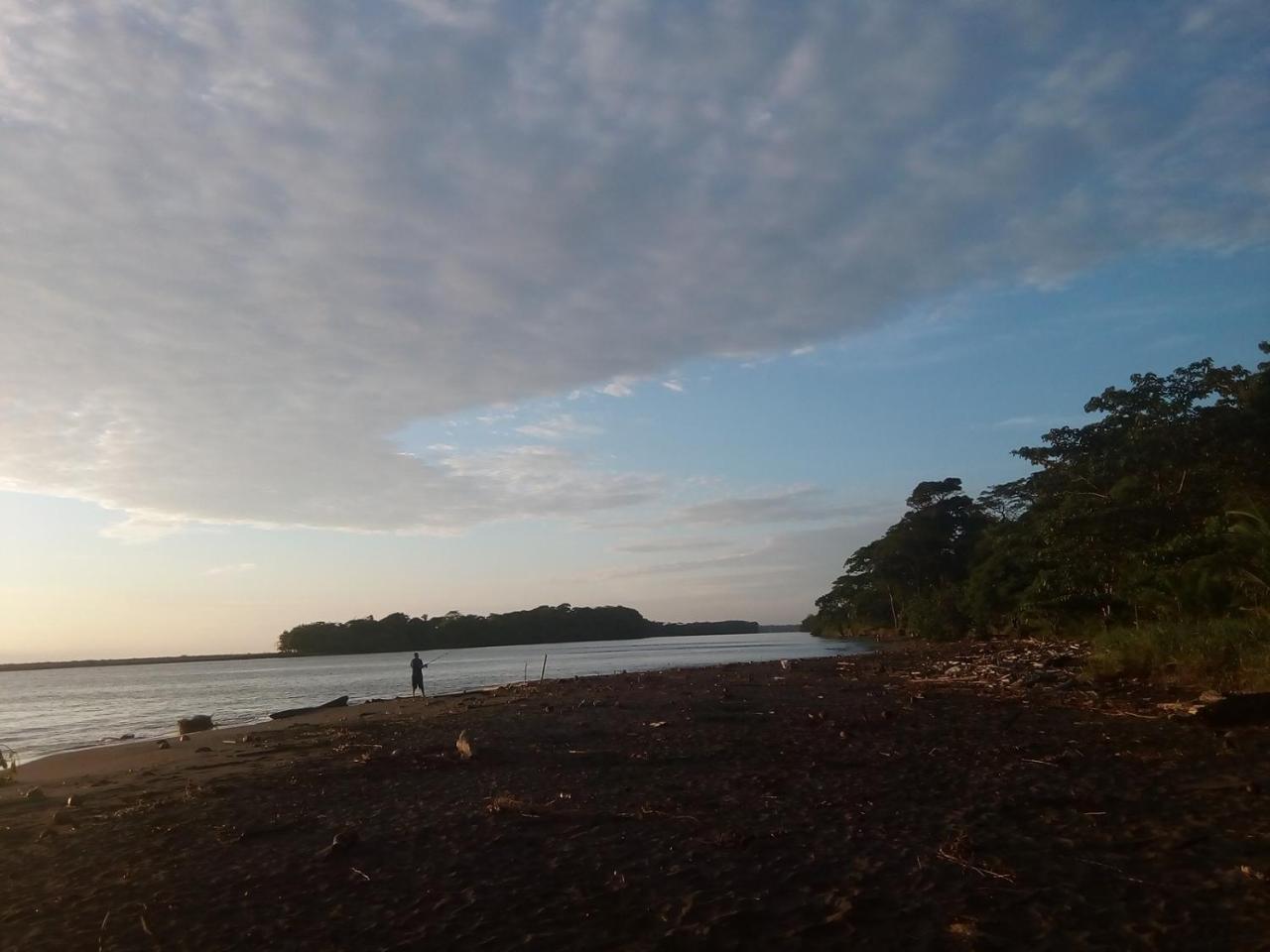 Hospedaje Meryscar Tortuguero Zewnętrze zdjęcie